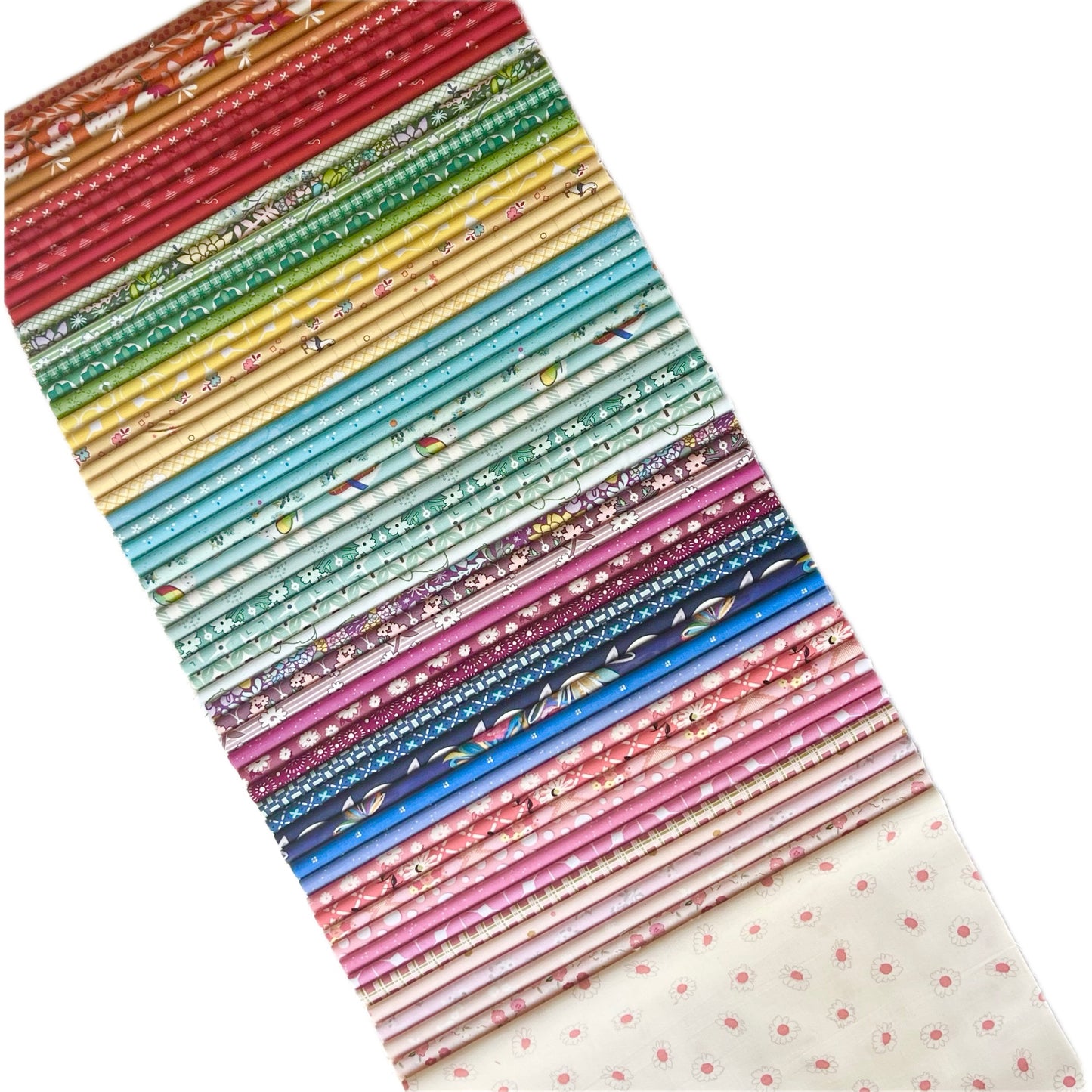 Kuratiertes Compass-Paket