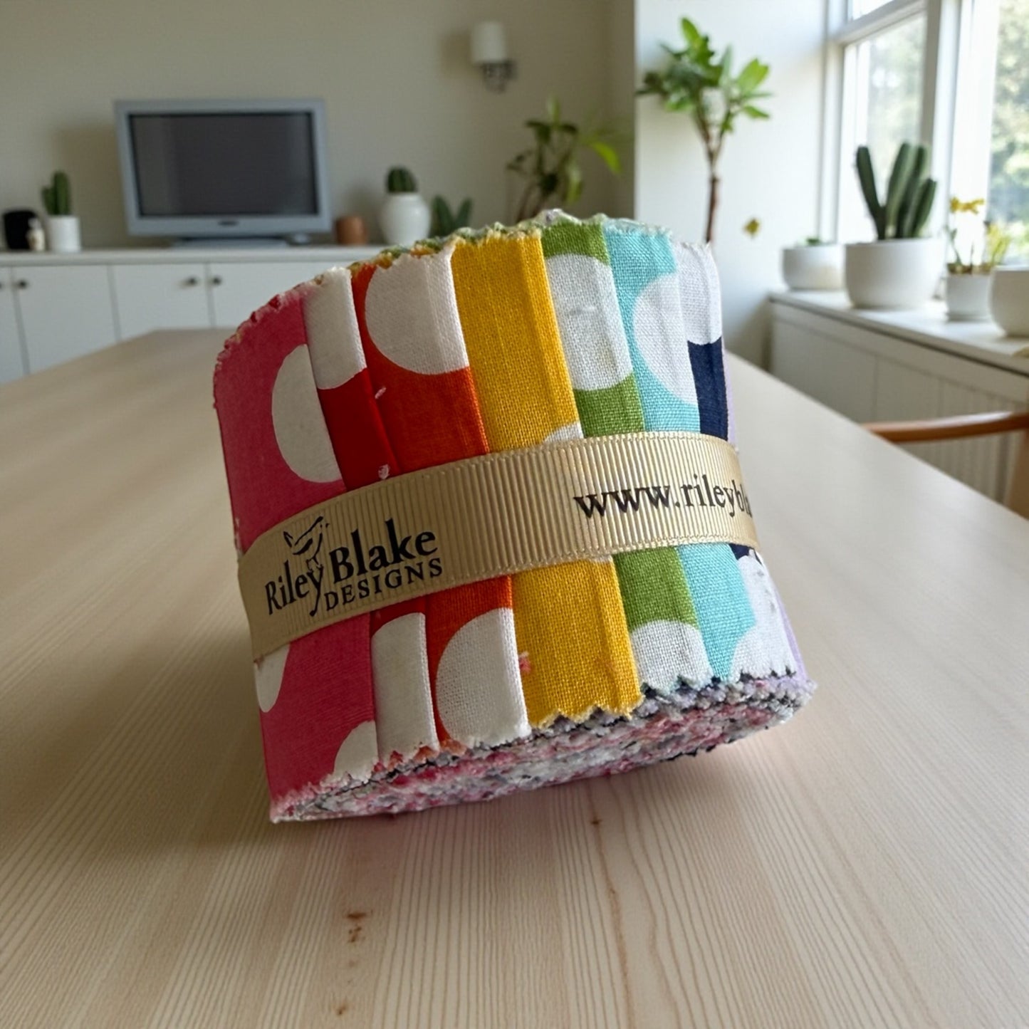 Medium Dots 2.5" Rolie Polie