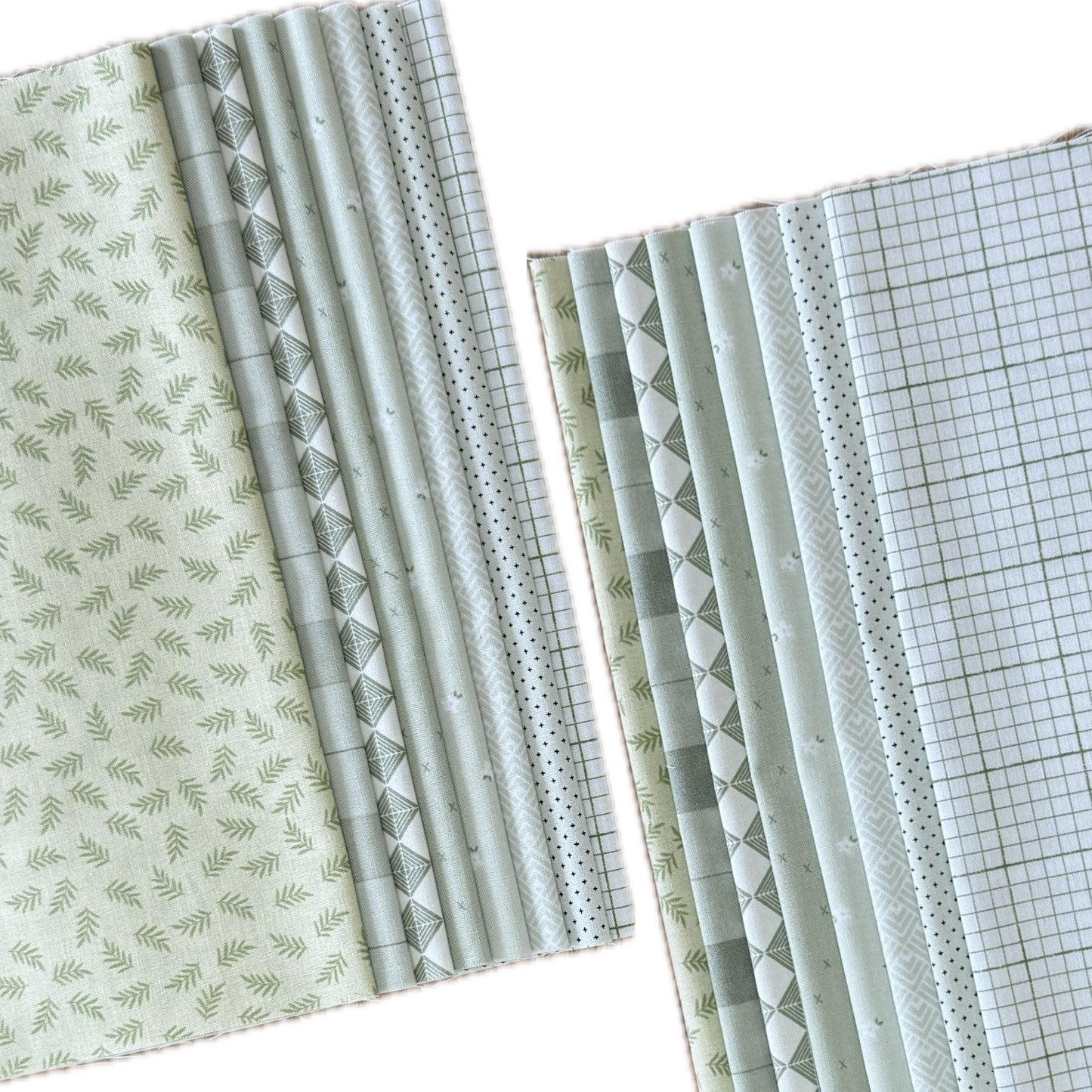 Moss & Measure Fat 1/8 pack 8pc