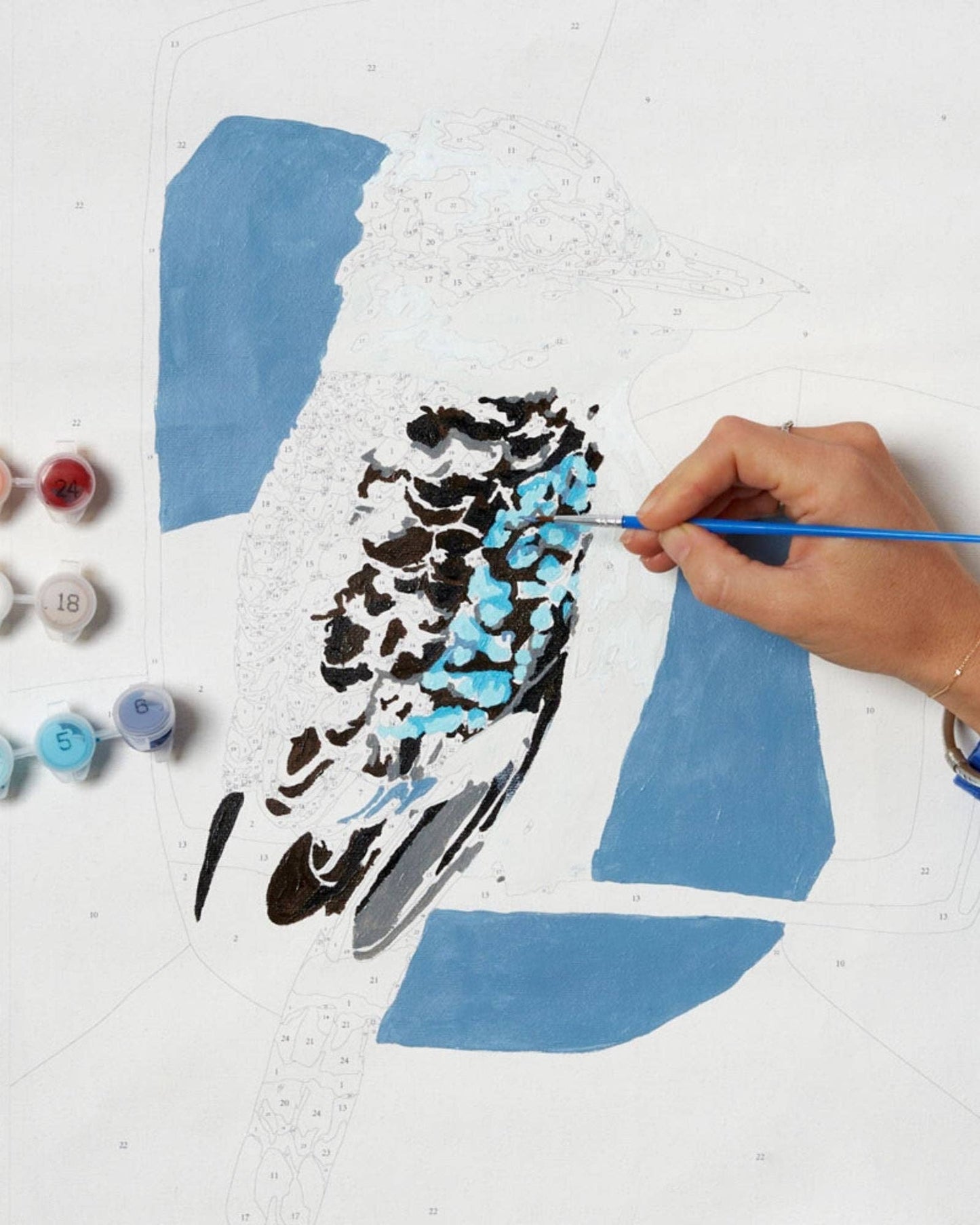 Journey of Something | Paint by Numbers | Kookaburra Laugh