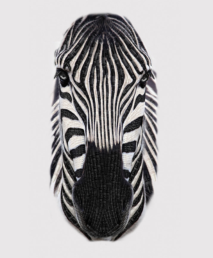 Patchwork with Busyfingers It's a Crayola World zebra fabric panel featuring a detailed black and white zebra face.
