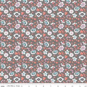Paper Daisies Floral Gray