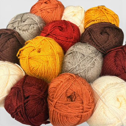 Autumn Hues Yarn Set
