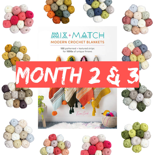 Mix & Match Crochet of the Month R2.