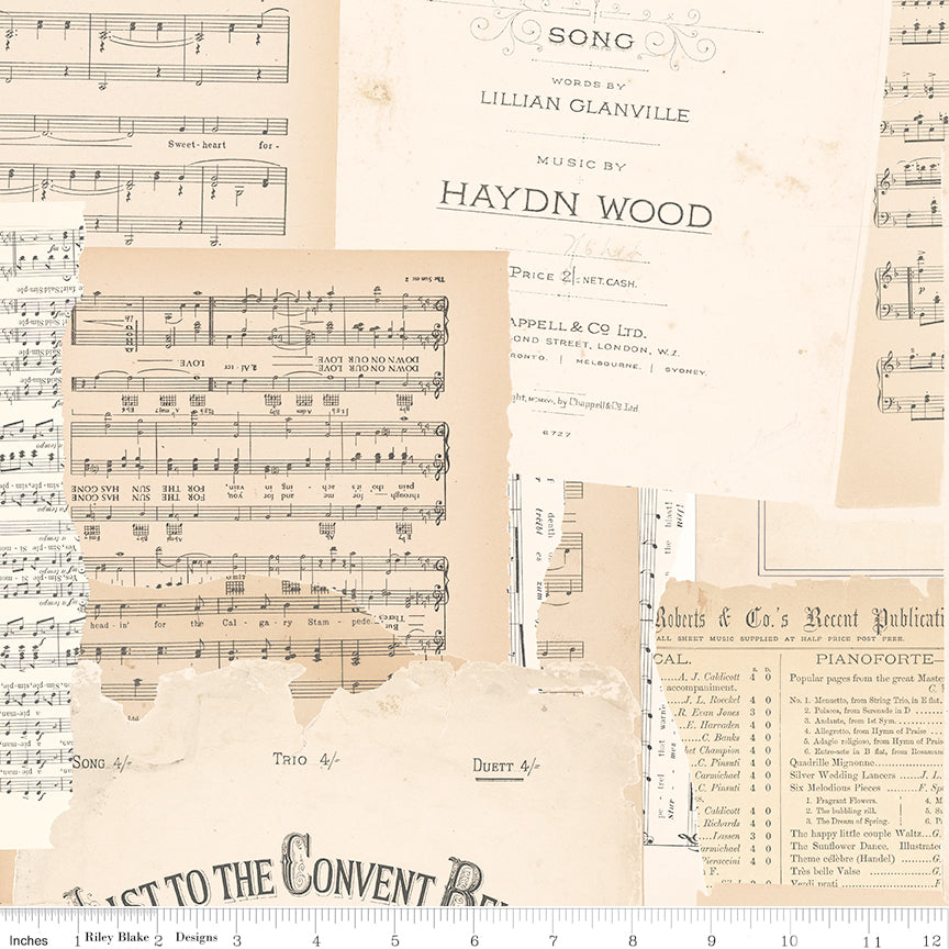 Rose & Violet's Bouquet Des Fleurs Melody Parchment