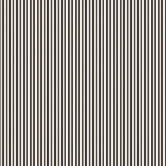 1/8" Stripe Charcoal