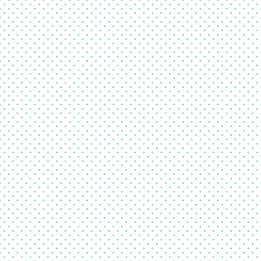 Swiss Dot Aqua on White