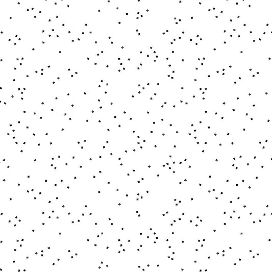 Blossom on White Black