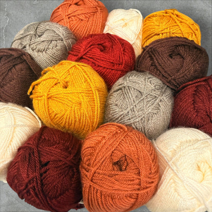 Autumn Hues Yarn Set