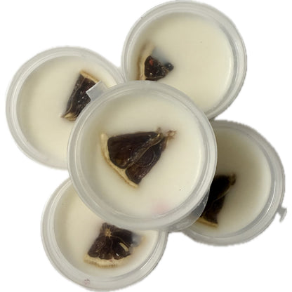 Kourage & co | Botanical Shot Pot Melts | Coconut & Lime