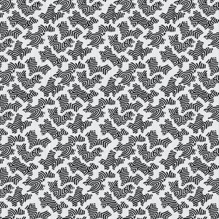 Miscellany Irregular Zebra Black