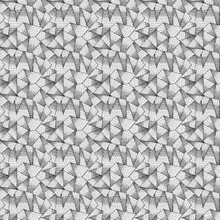Miscellany Triangulation Black/Cream