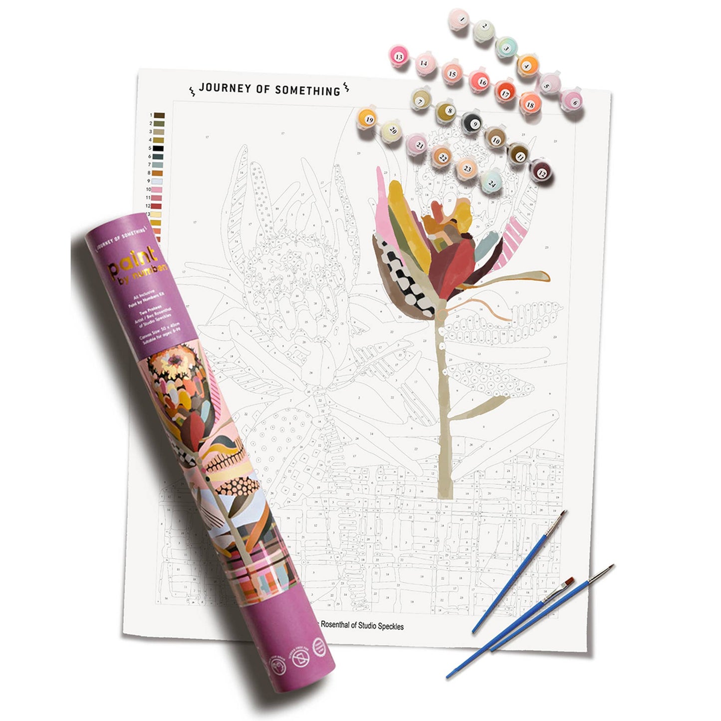 Journey of Something | Paint by Numbers | Two Proteas
