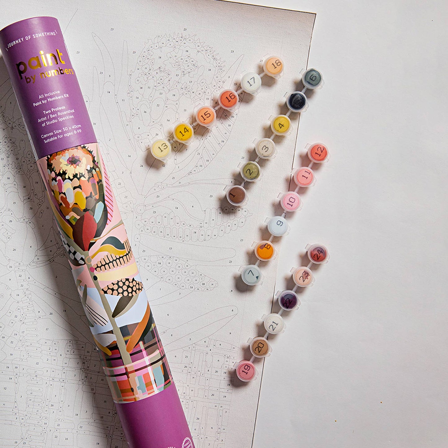 Journey of Something | Paint by Numbers | Two Proteas