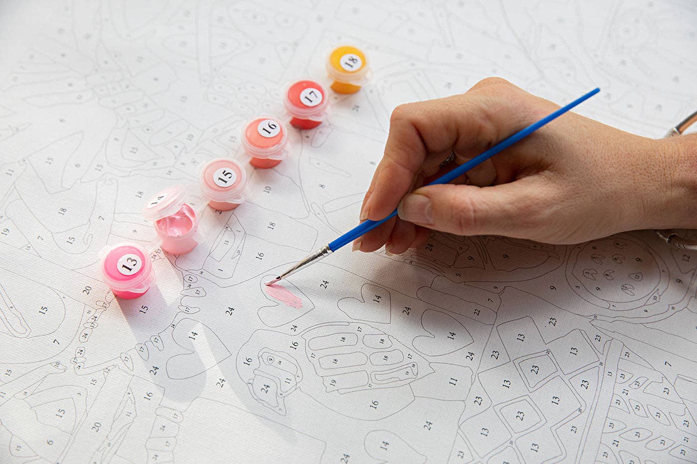 Journey of Something | Paint by Numbers | Pink Haze