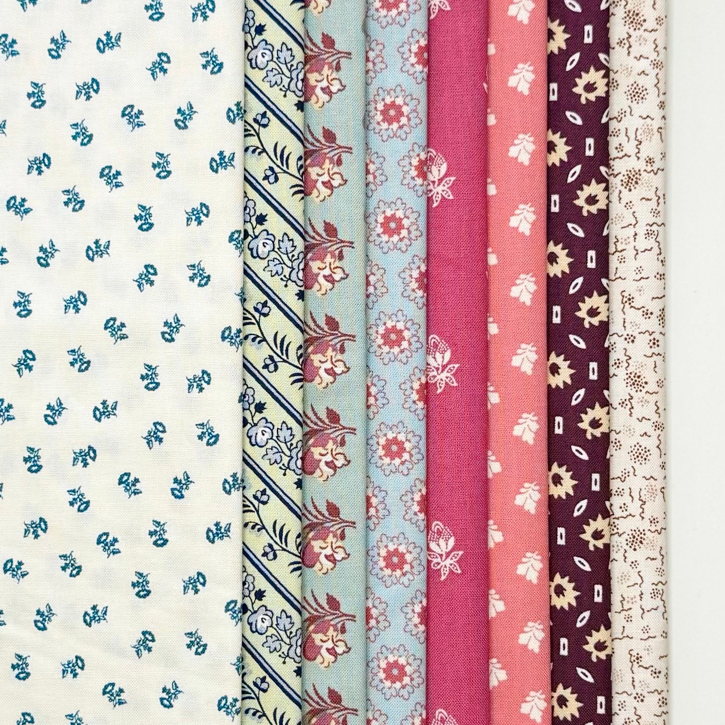 Gentle Harmony Sensibility 25cm Pack 8pc