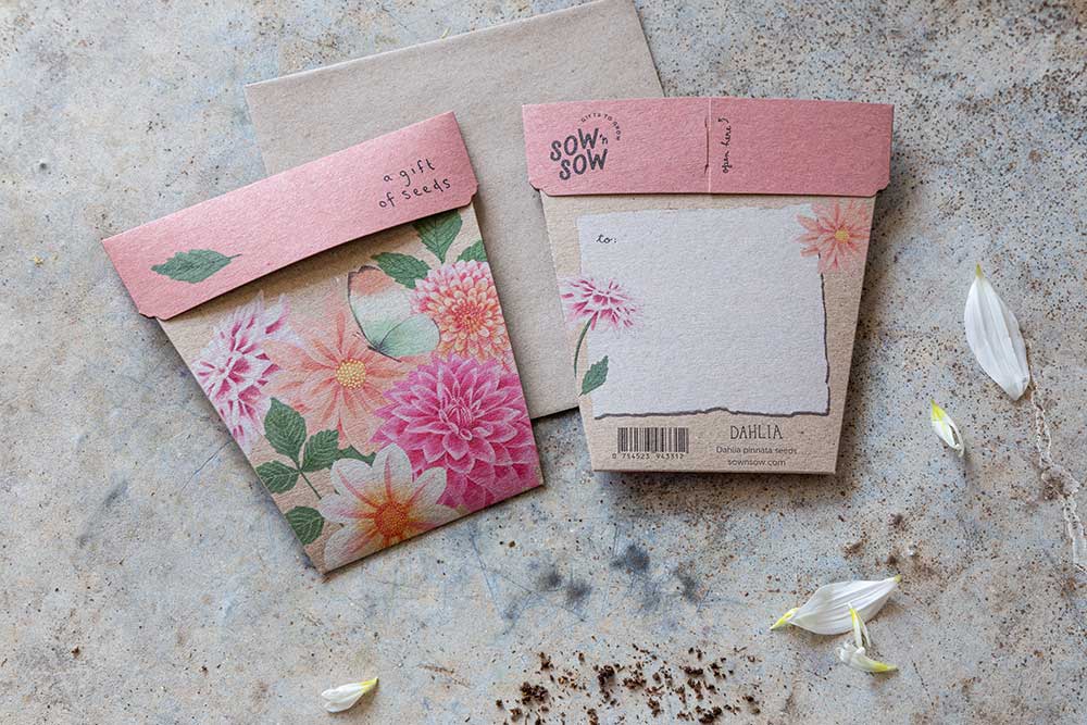 Sow 'n Sow | Gift of Seeds | Greeting Cards