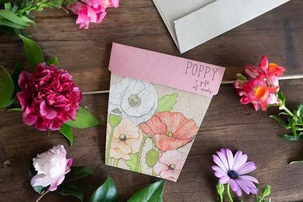 Sow 'n Sow | Gift of Seeds | Greeting Cards