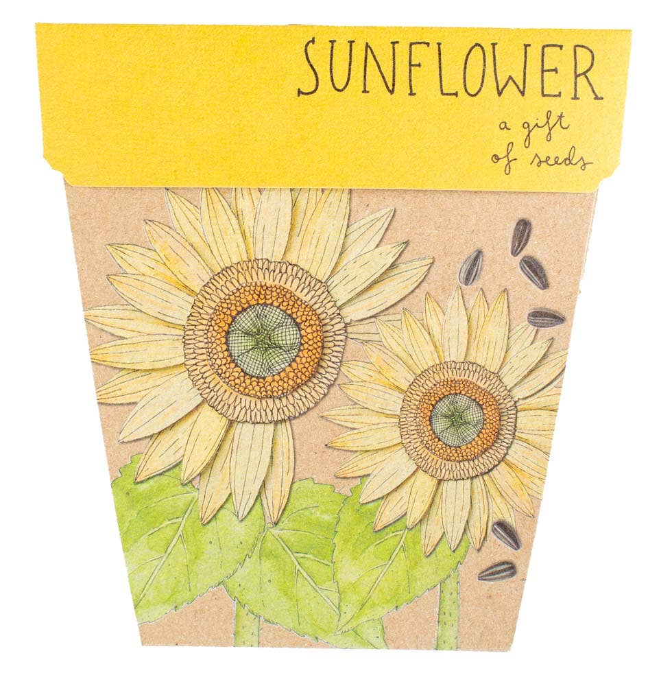 Sow 'n Sow | Gift of Seeds | Greeting Cards