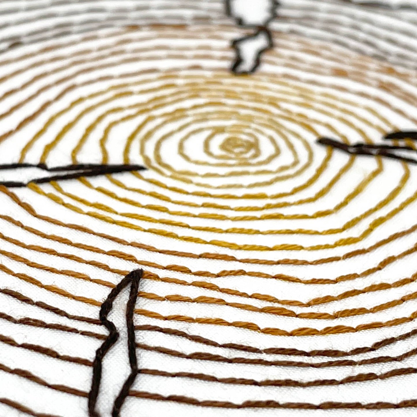 Tree Rings | Embroidery Kit