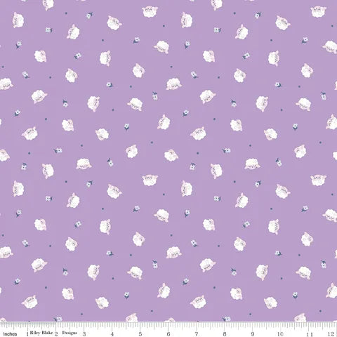 Twinkle Little Star Flock Orchid