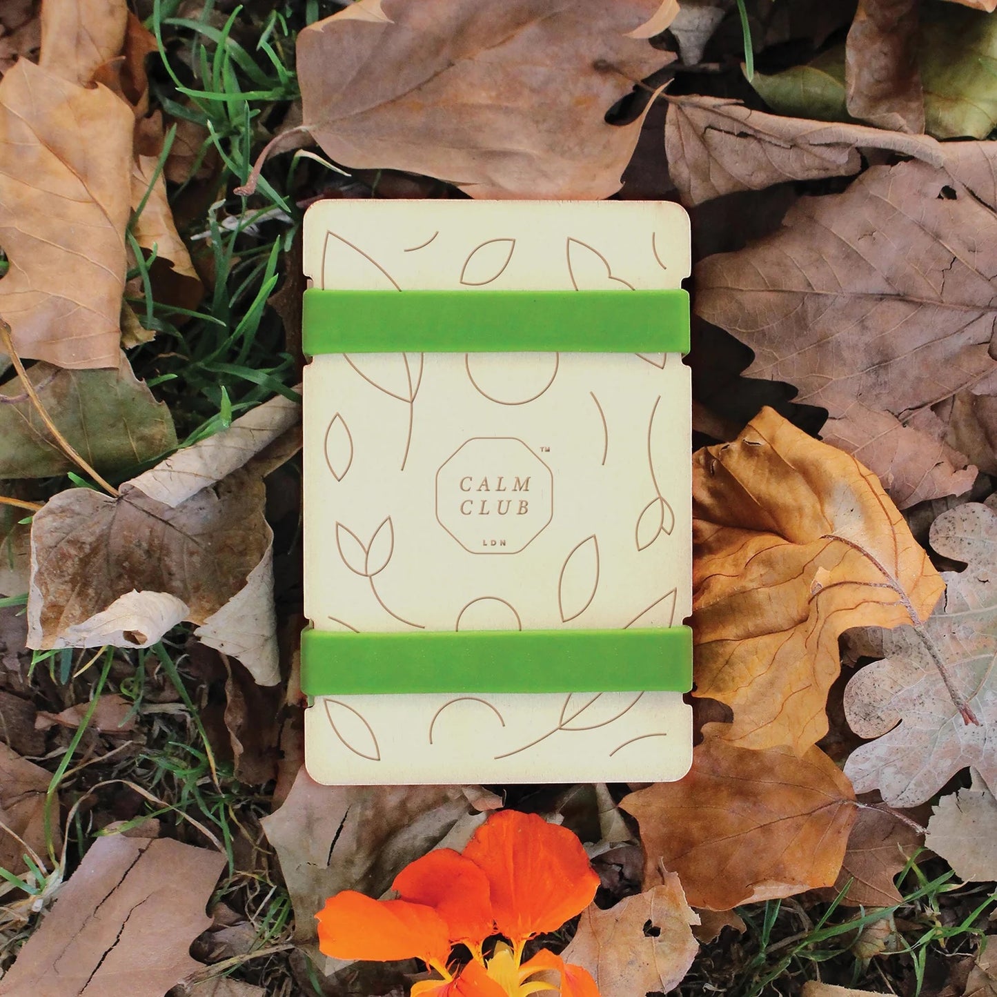 Patchwork with Busyfingers Calm Club flower press with green elastic bands and botanical line art on a cream background, set amongst autumn leaves.