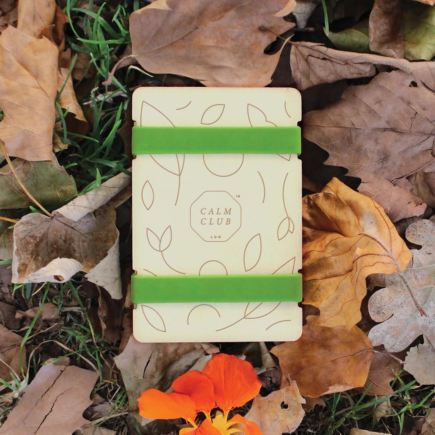 Patchwork with Busyfingers Calm Club flower press with green elastic bands and botanical line art on a cream background, set amongst autumn leaves.