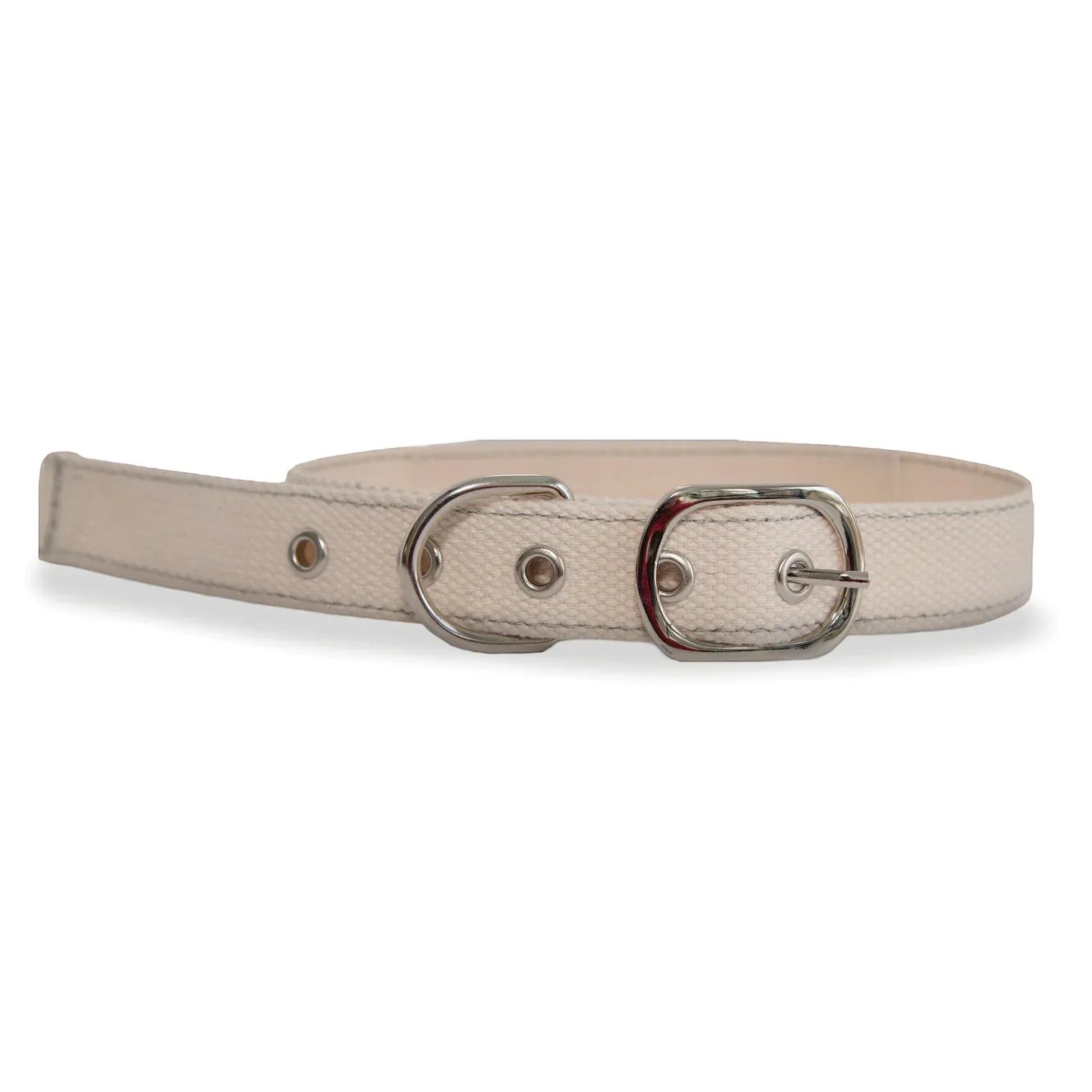 Patchwork with Busyfingers small DIY cross stitch dog collar in natural canvas with silver buckle and D-ring.