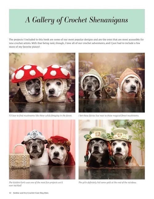 Patchwork with Busyfingers Crochet Cute Dog Hats book page showing Sookie and Ivy wearing various crocheted hats.