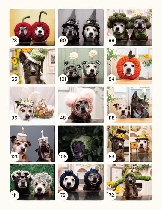 Patchwork with Busyfingers Crochet Cute Dog Hats book featuring 16 patterns of whimsical crocheted hats for dogs.