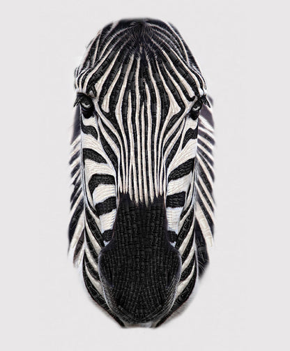 Patchwork with Busyfingers It's a Crayola World zebra fabric panel featuring a detailed black and white zebra face.