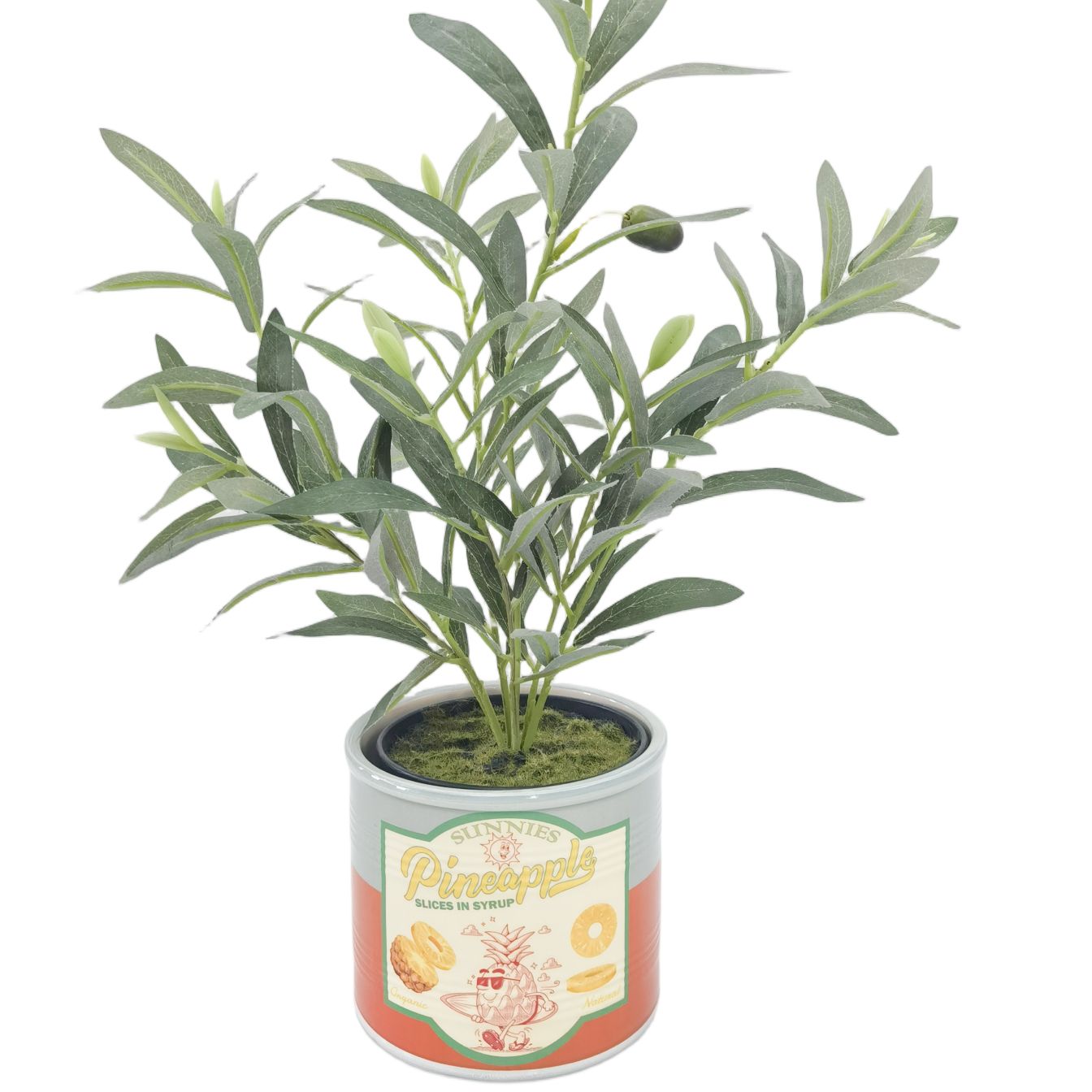 Urban | Can Planter | Sunnies Pineapple