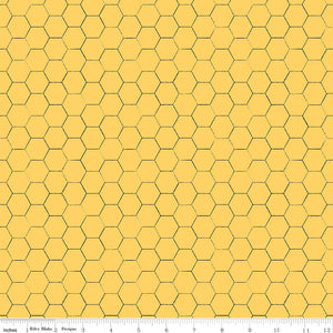 Honey Bee Honeycomb Daisy
