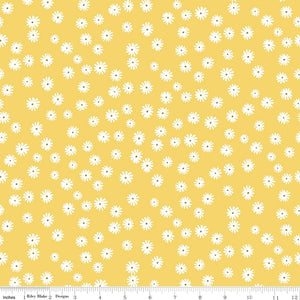 Flower Garden Daisies Yellow