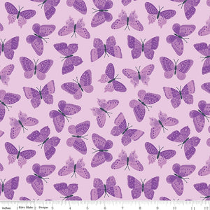 Stärke im Lavendel-Schmetterlings-Lavendel