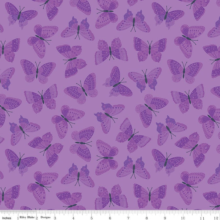 Stärke in Lavendel-Schmetterlingen Violett