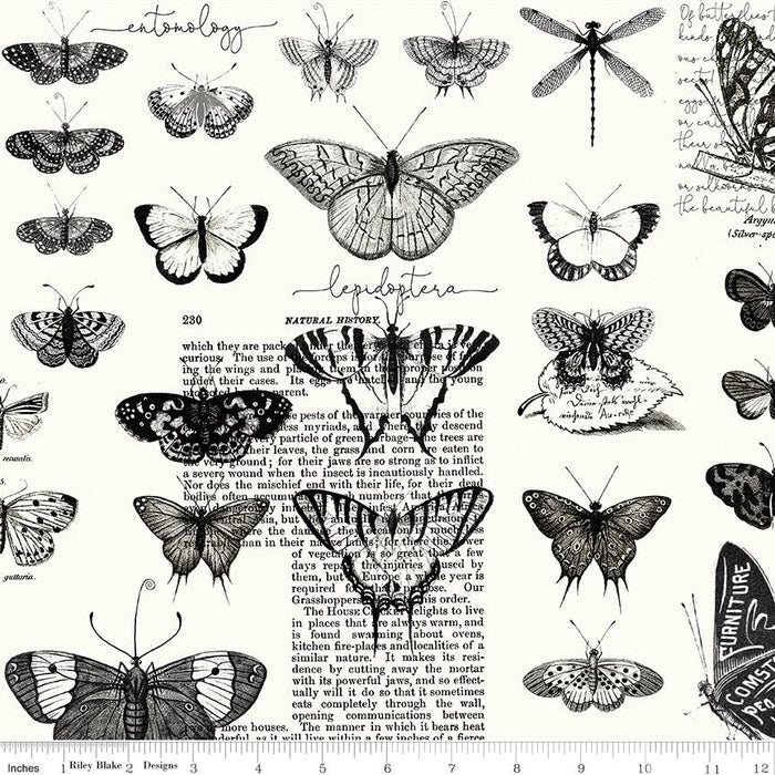Kunsttagebuch Schmetterlinge Weiß