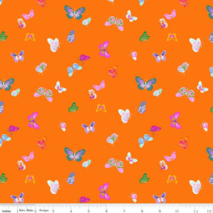 Splendid Butterflies Orange