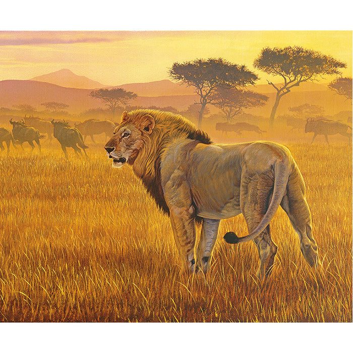 On Safari Lion Poster Panel