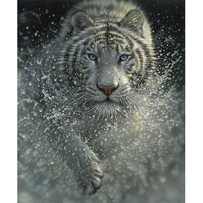Auf Safari White Tiger Poster Panel