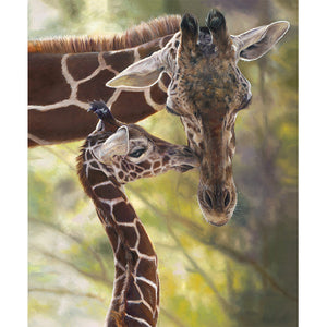 Auf Safari-Giraffen-Plakattafel