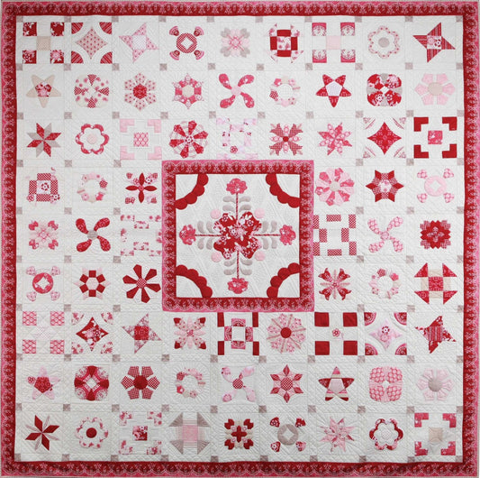 Himbeertee-P&amp;T-Paket *KOSTENLOSES BUCH*